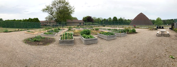 Depave sites have been installed at parks, expanding opportunities for local food production