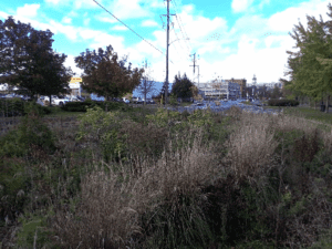 Depave sites have been installed at downtown locations