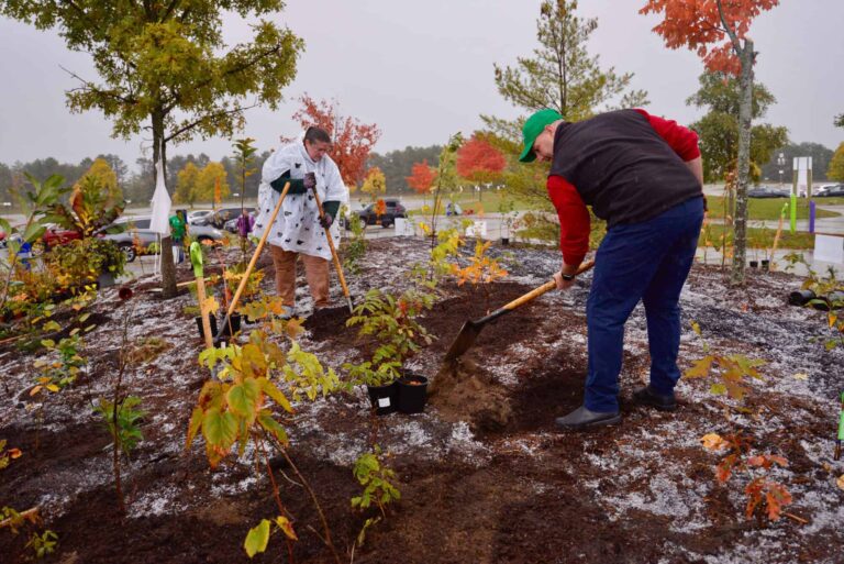 People planting a mini forest at Toronto Zoo
