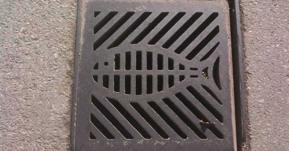 A stormwater drain with the symbol of a fish