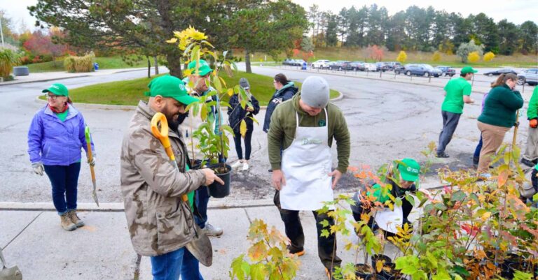 People preparing trees to plant a mini forest at Toronto Zoo