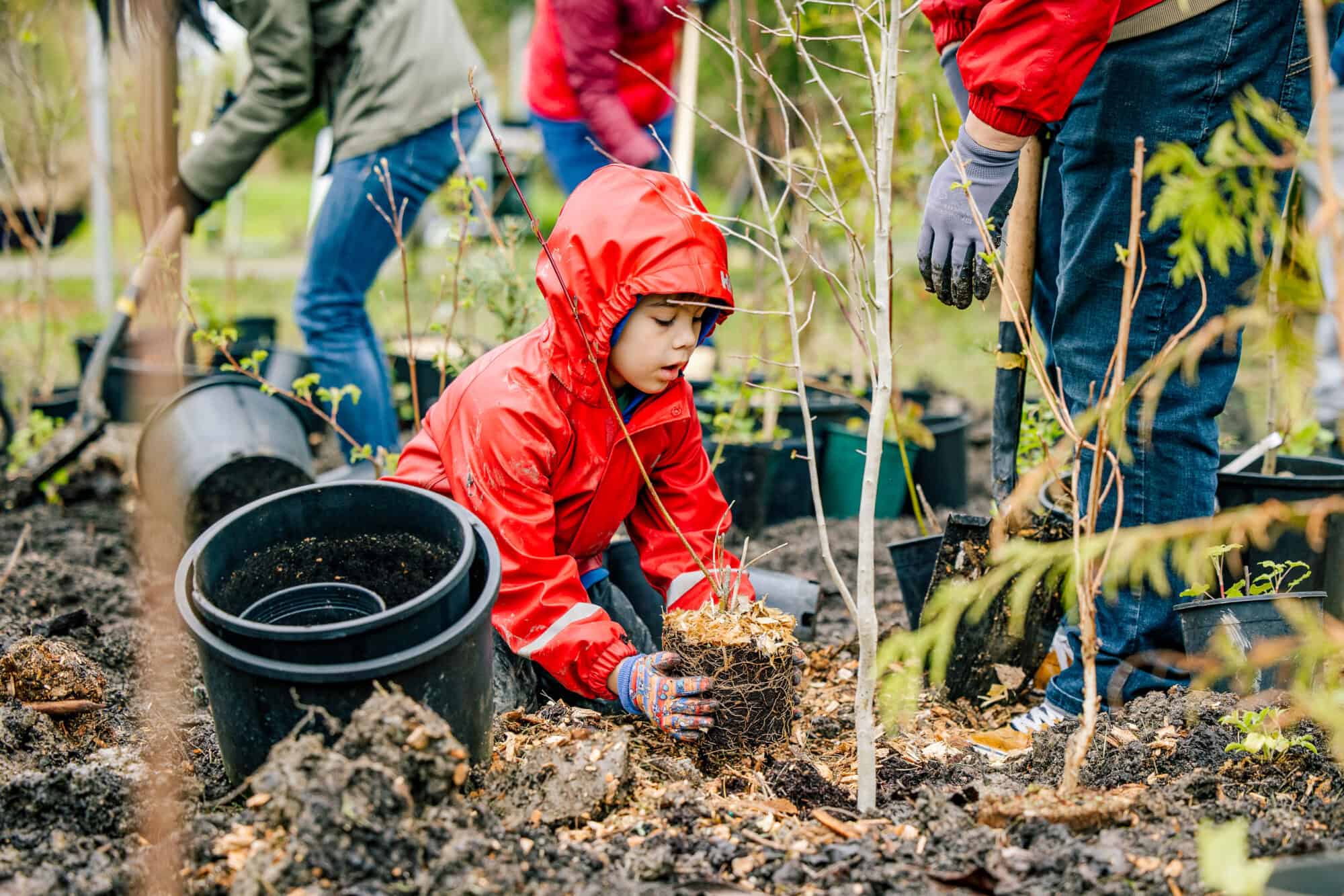 Kid planting a tree