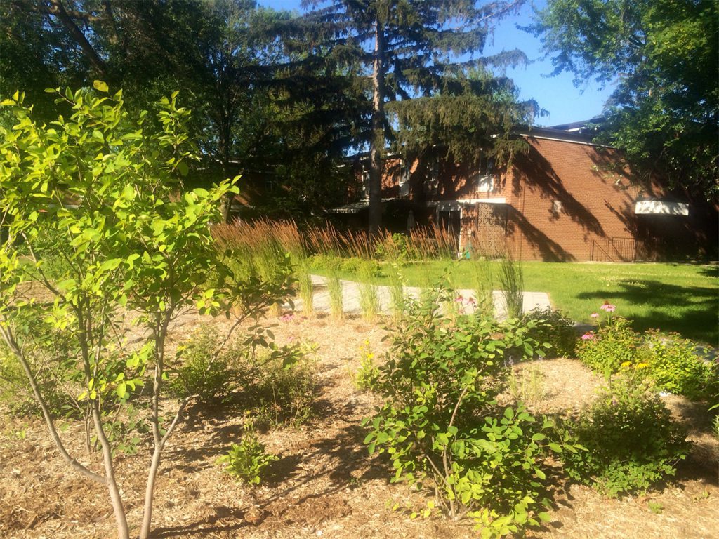 A community garden with young trees, flowers, and tall grasses on mulched soil. A curved path goes through the garden, with brick apartments and large trees behind it.