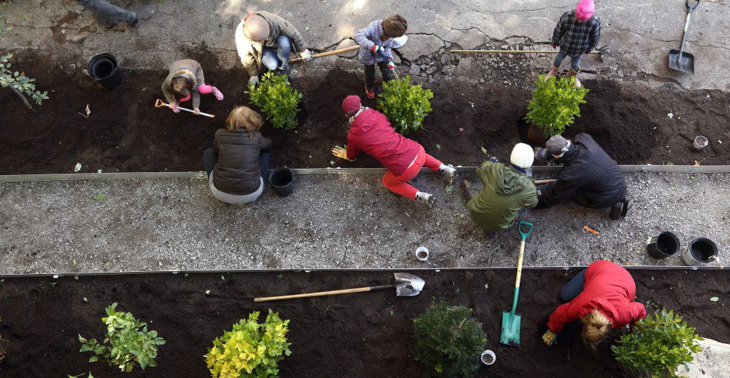 Overhead view of several people planting