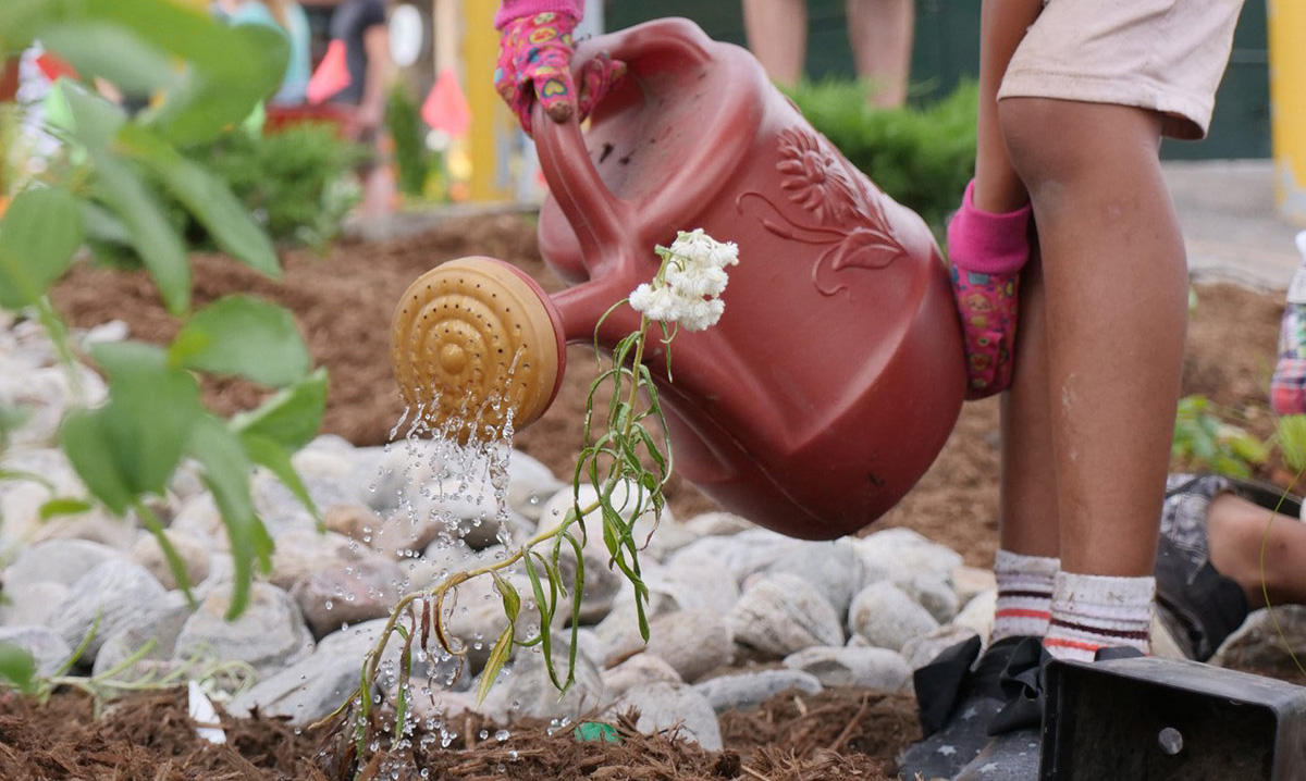 A young person watering plants in a garden using a red watering can on a sunny day