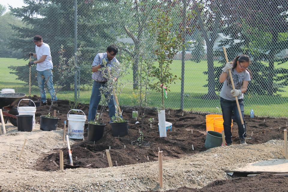 Three volunteers plant trees and prepare soil at the future community garden. Buckets, tools, and young plants are spread around the site, with a fence and park in the background.