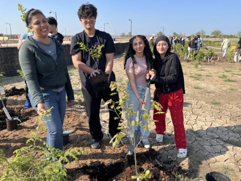 Four youth gathered around a newly planted tree in fresh soil. One of them is holding a shovel. All of them are smiling into the camera.
