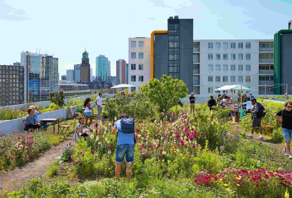 Lush, green rooftop gardens with people walking thru them and a cityscape in the backround.
