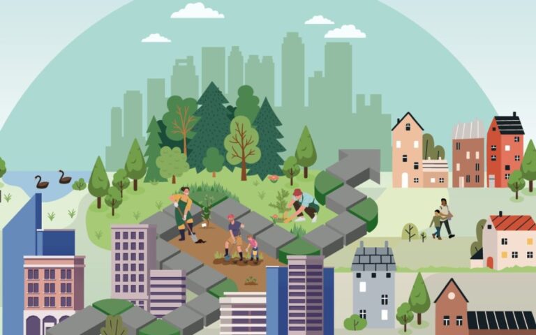 A graphic section of the Seeds for Change report cover.