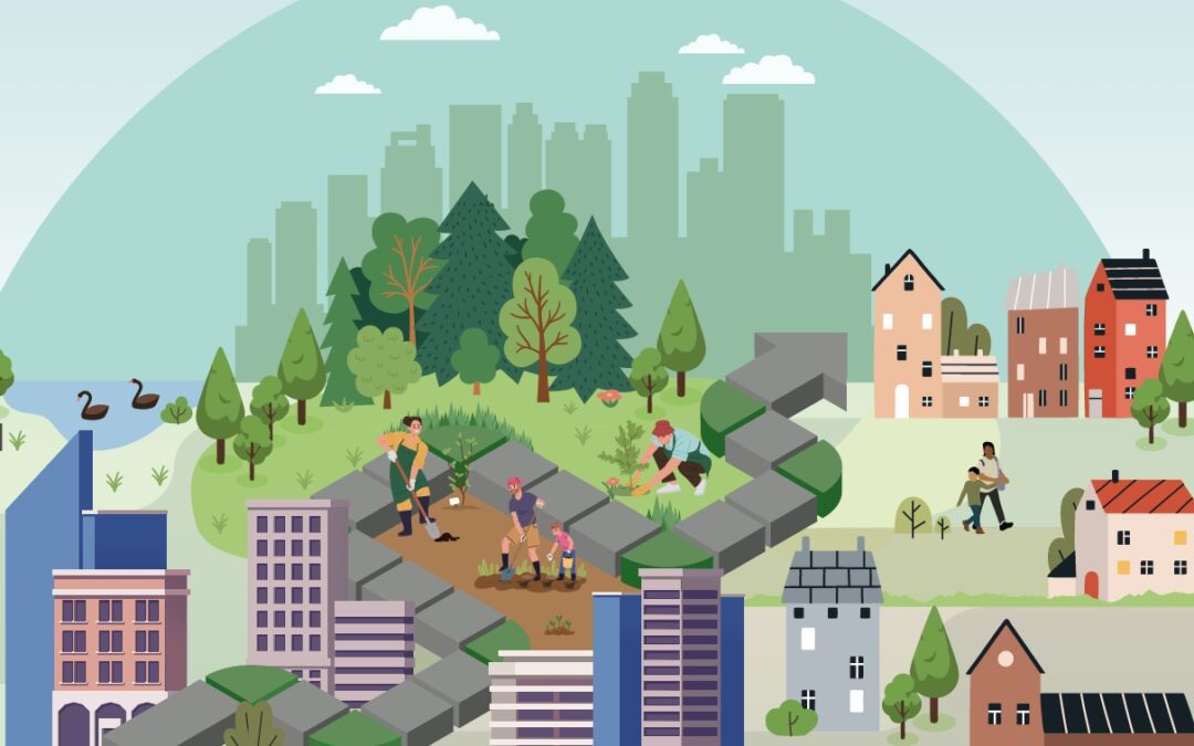 A graphic section of the Seeds for Change report cover.